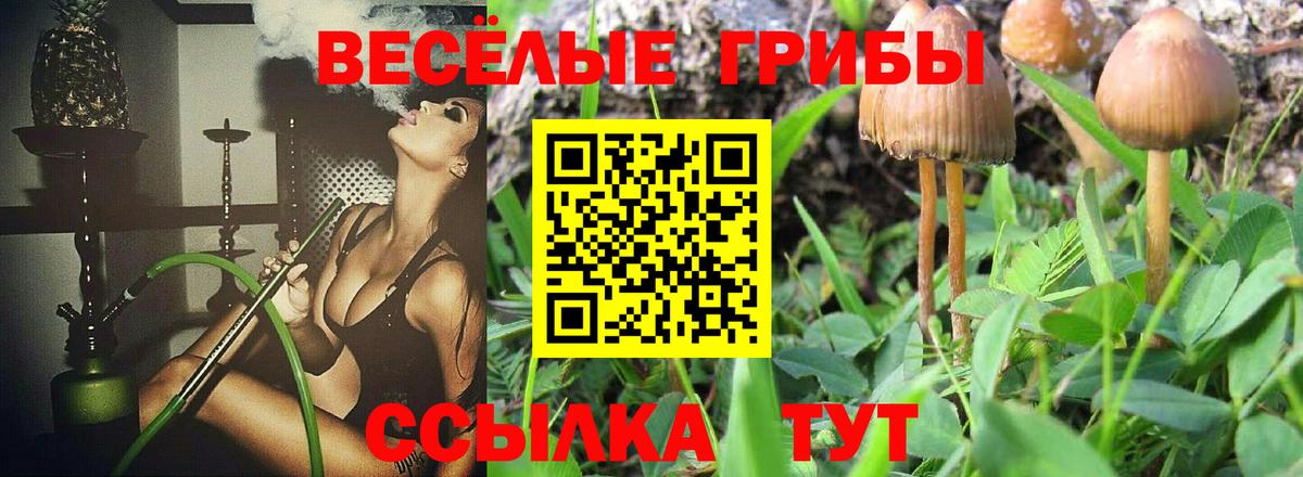 Псилоцибиновые грибы мицелий Белгород